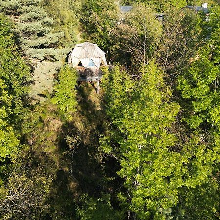 L'Oriel Du Senepy Vendégház La Motte-dʼAveillans Kültér fotó